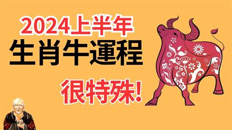 屬牛運勢|【屬牛2024生肖運勢】破太歲危機四處，慎防誤墜騙。